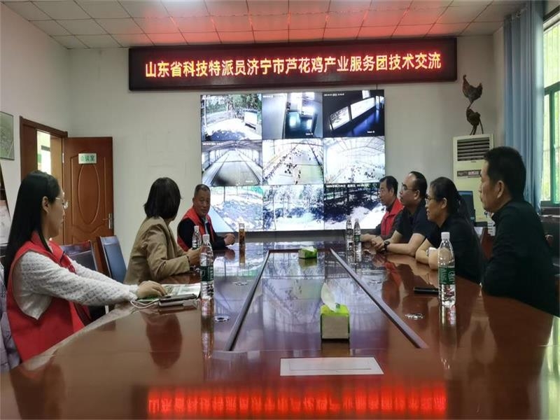 山东省科技特派员济宁市芦花鸡产业服务团开展技术交流指导
